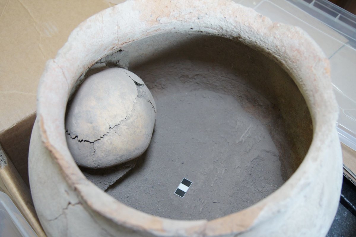 Կարասային պեղումներ «Պահպանության ծառայություն» ՊՈԱԿ-ում