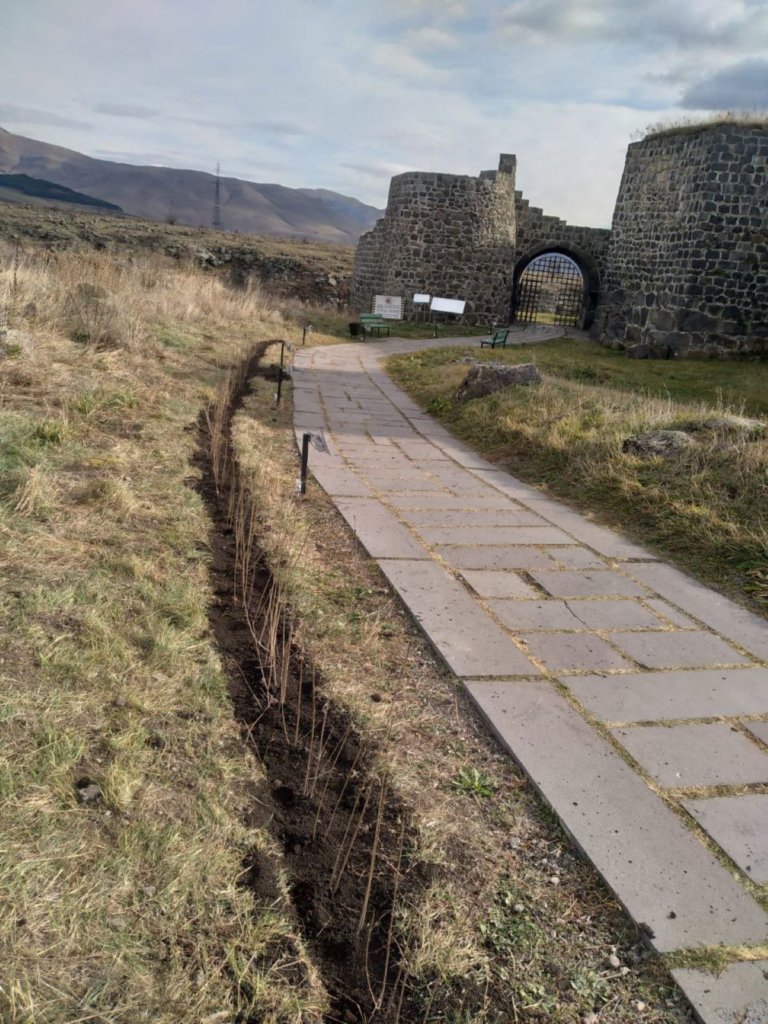 Կանաչապատման աշխատանքներ Լոռի բերդում