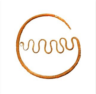 Ուշբրոնզեդարյան հերակալ