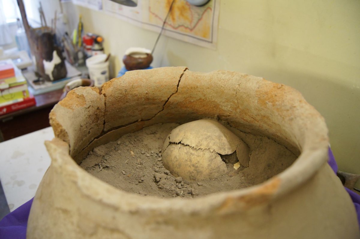 Կարասային թաղում․ բացառիկ գտածո  Մեծամոր հնավայրի տարածքից