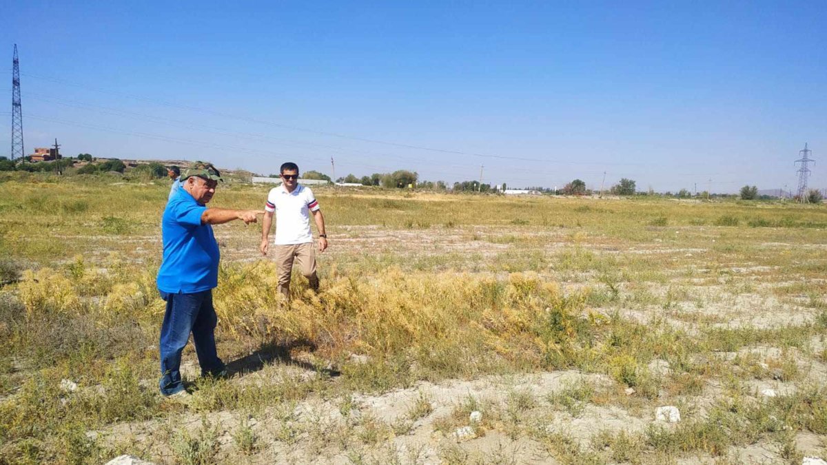 Նոր գտածոների սպասումով