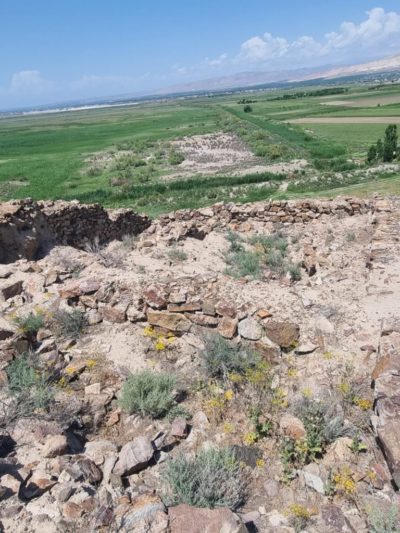 Մշտադիտարկման աշխատանքներ հայոց թագավորանիստ քաղաքի տարածքում