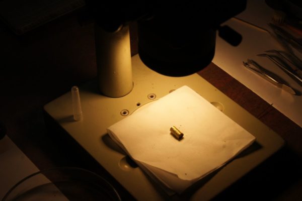 Մաքրվում են Մեծամոր հնավայրի բացառիկ գտածոները