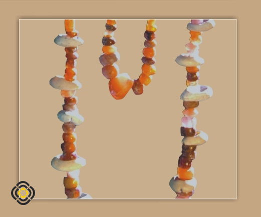 Ոլունքաշար պատրաստված պարսիցծոցյան cyprea moneda (կաուրի) տեսակի ծովախեցիներից