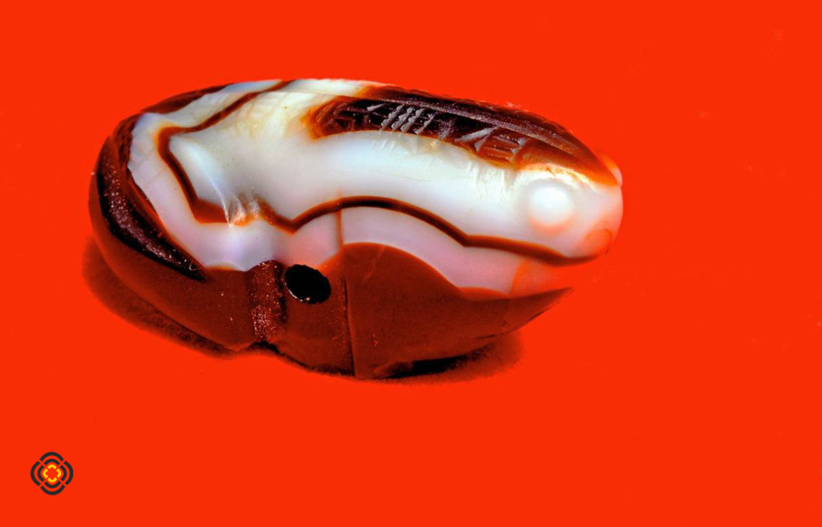 Գորտակերպ կշռաքար-կախիկ