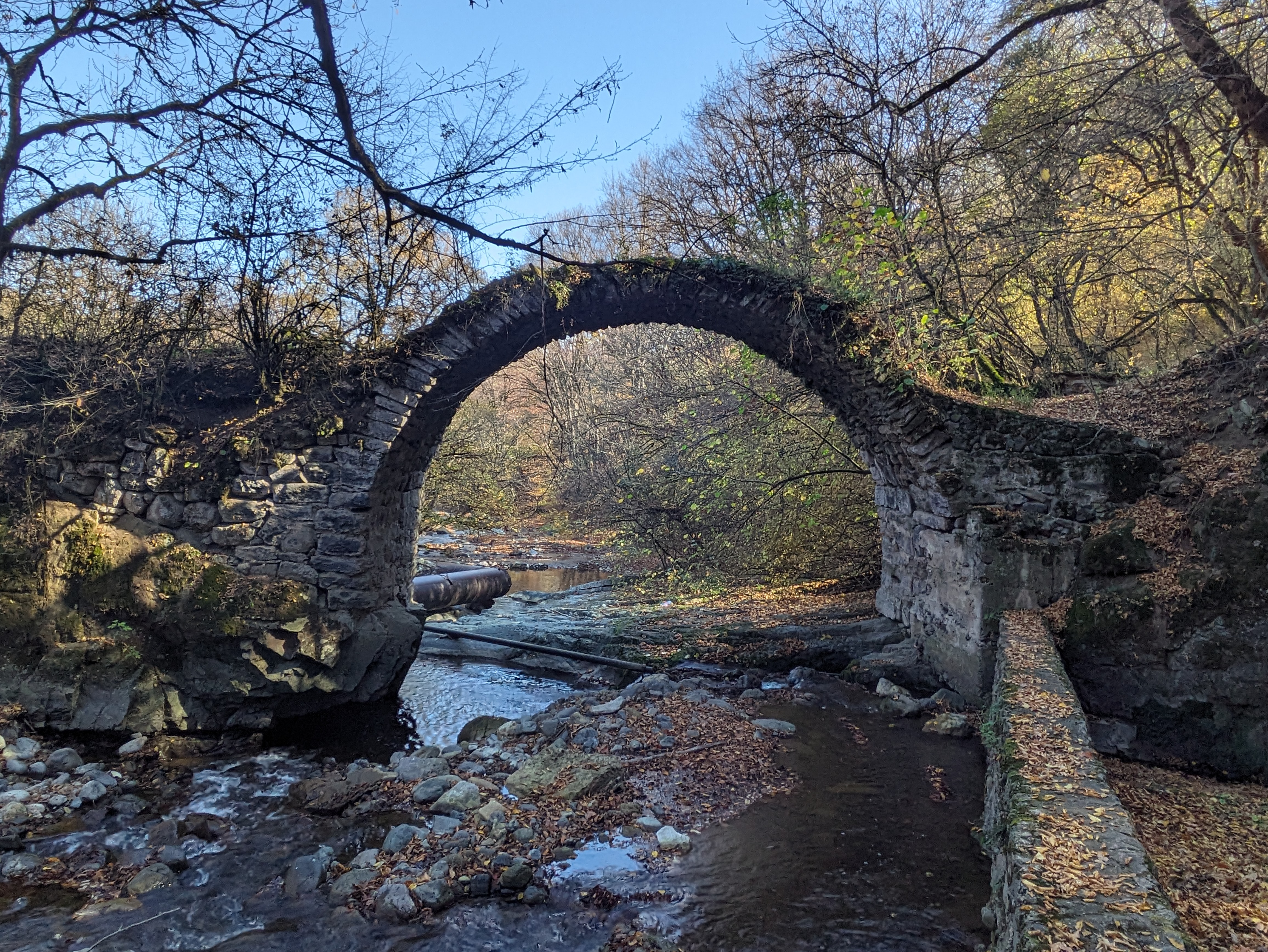 ՍՐԱՆՈՑԻ ԿԱՄՈՒՐՋ