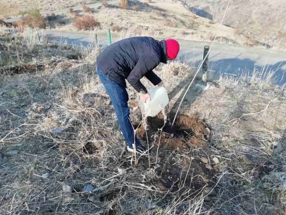 Շաբաթօրյակ «Ամբերդ ամրոց» պատմամշակութային արգելոցի տարածքում